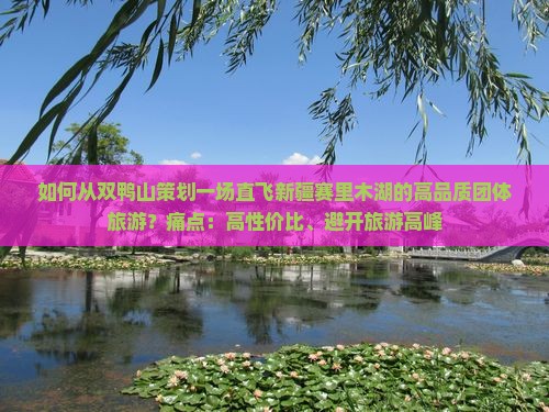 如何从双鸭山策划一场直飞新疆赛里木湖的高品质团体旅游？痛点：高性价比、避开旅游高峰