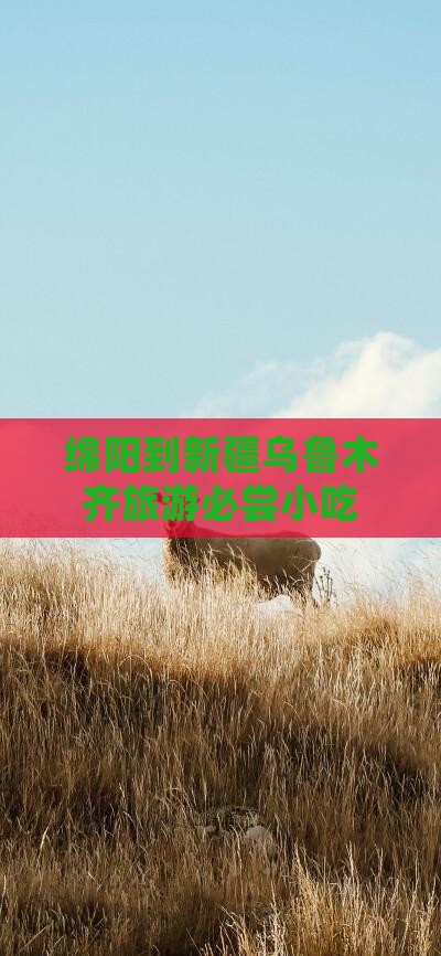 绵阳到新疆乌鲁木齐旅游必尝小吃