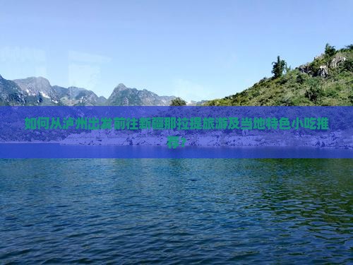 如何从泸州出发前往新疆那拉提旅游及当地特色小吃推荐？