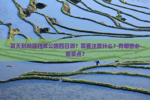 夏天到新疆独库公路四日游？需要注意什么？有哪些必看景点？
