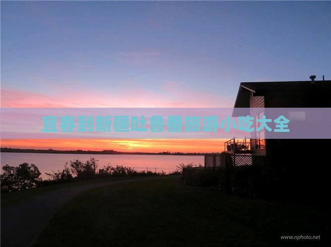 宜春到新疆吐鲁番旅游小吃大全