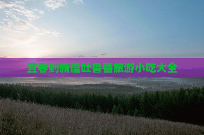宜春到新疆吐鲁番旅游小吃大全