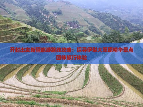 开封出发新疆旅游路线攻略：探寻伊犁大草原精华景点团体旅行体验