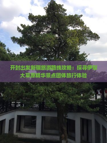 开封出发新疆旅游路线攻略：探寻伊犁大草原精华景点团体旅行体验