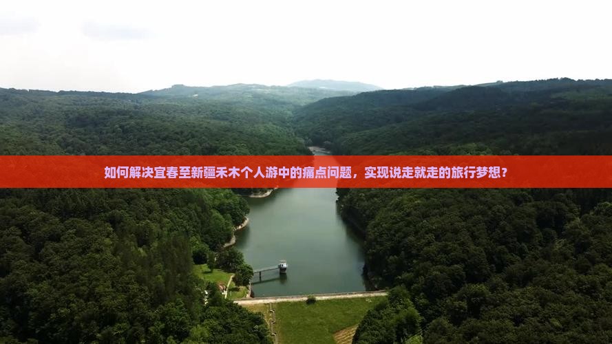 如何解决宜春至新疆禾木个人游中的痛点问题，实现说走就走的旅行梦想？