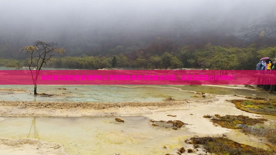 如何解决衢州至新疆伊犁大草原团体旅游中的痛点问题，实现高品质出行体验？