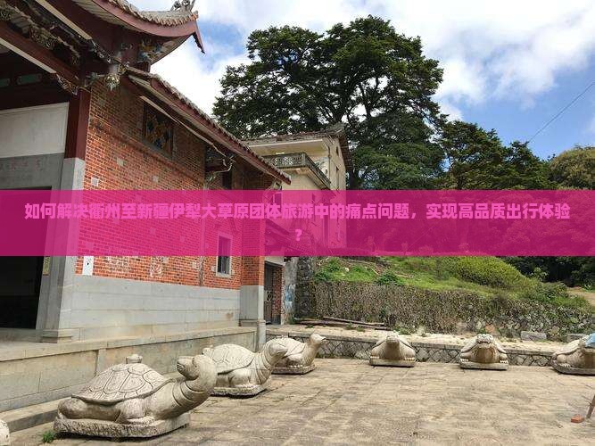 如何解决衢州至新疆伊犁大草原团体旅游中的痛点问题，实现高品质出行体验？