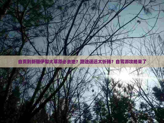 自贡到新疆伊犁大草原必去地？路途遥远太折腾？自驾游攻略来了