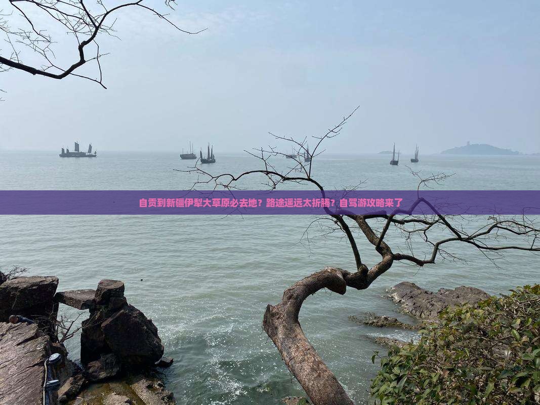 自贡到新疆伊犁大草原必去地？路途遥远太折腾？自驾游攻略来了