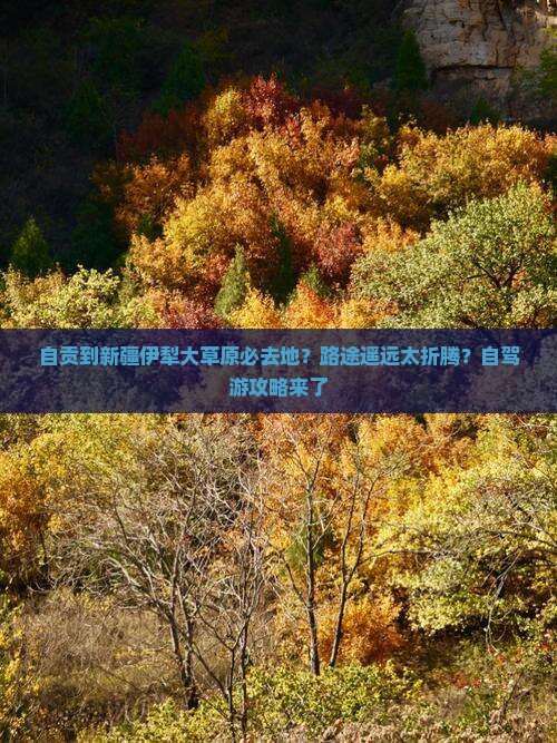 自贡到新疆伊犁大草原必去地？路途遥远太折腾？自驾游攻略来了