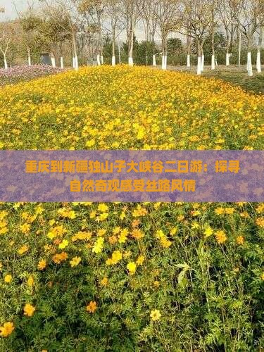 重庆到新疆独山子大峡谷二日游：探寻自然奇观感受丝路风情