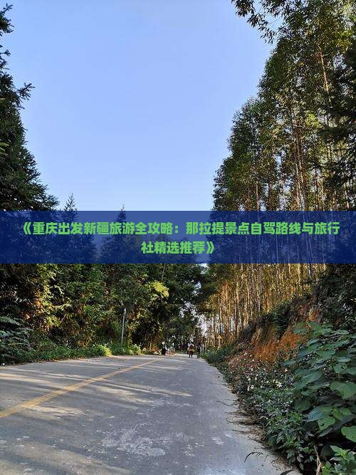 《重庆出发新疆旅游全攻略：那拉提景点自驾路线与旅行社精选推荐》