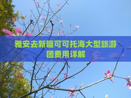 雅安去新疆可可托海大型旅游团费用详解