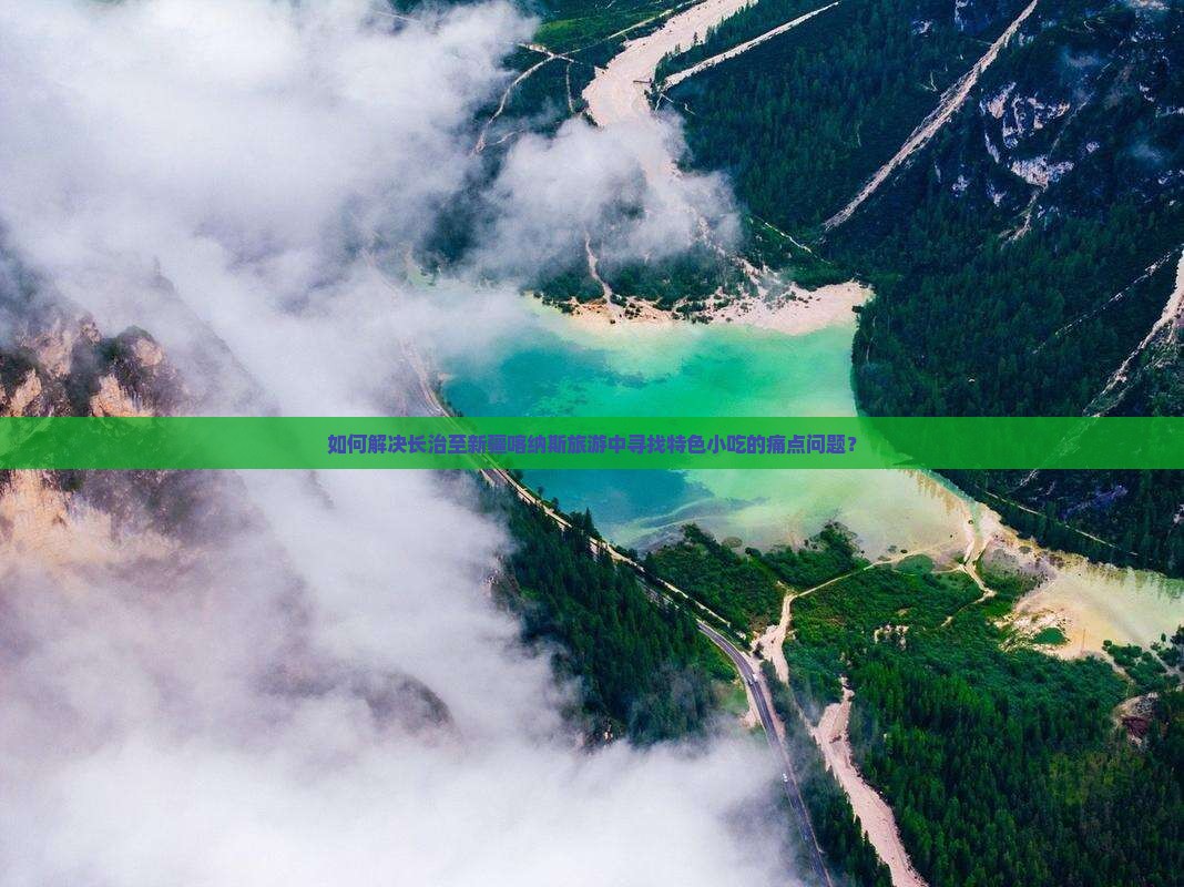 如何解决长治至新疆喀纳斯旅游中寻找特色小吃的痛点问题？