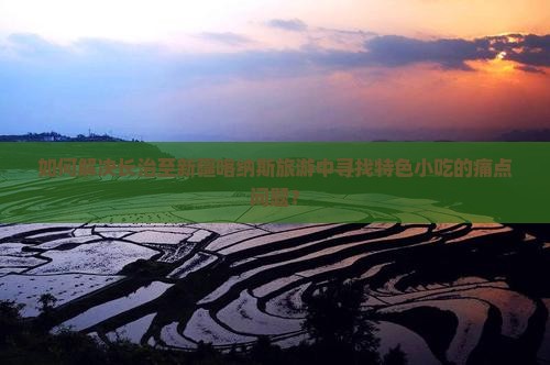 如何解决长治至新疆喀纳斯旅游中寻找特色小吃的痛点问题？