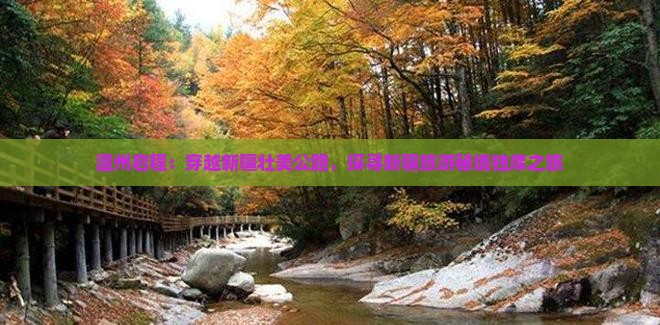 温州启程：穿越新疆壮美公路，探寻新疆旅游秘境独库之旅