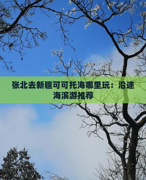 张北去新疆可可托海哪里玩：沿途海滨游推荐
