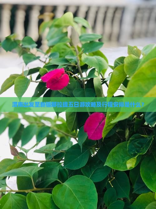 渭南出发至新疆那拉提五日游攻略及行程安排是什么？