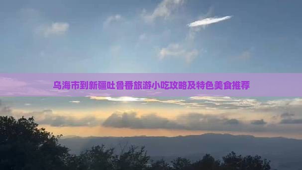 乌海市到新疆吐鲁番旅游小吃攻略及特色美食推荐