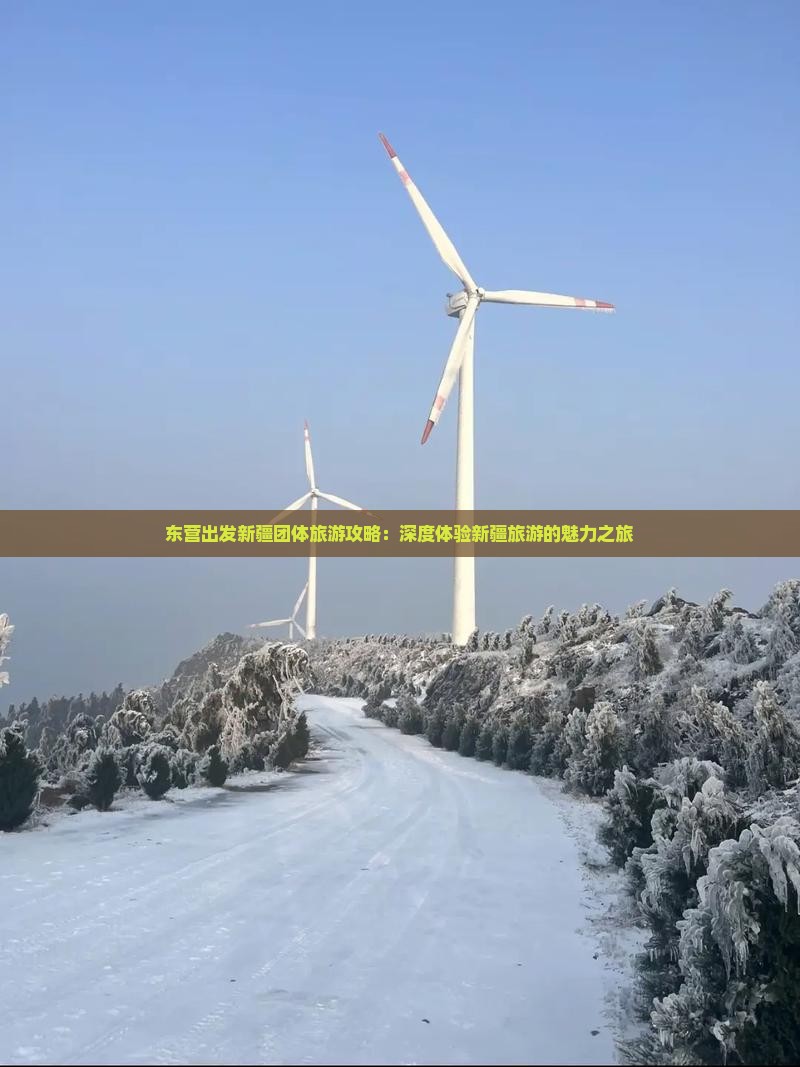东营出发新疆团体旅游攻略：深度体验新疆旅游的魅力之旅