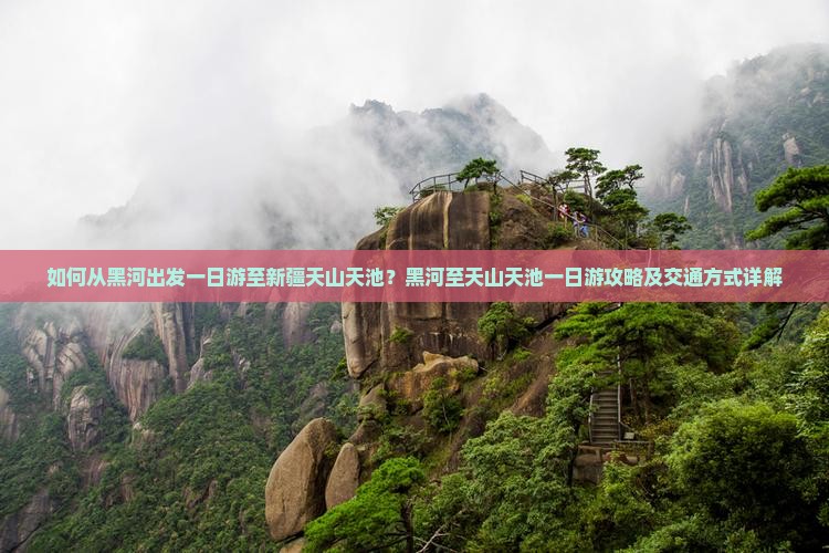 如何从黑河出发一日游至新疆天山天池？黑河至天山天池一日游攻略及交通方式详解