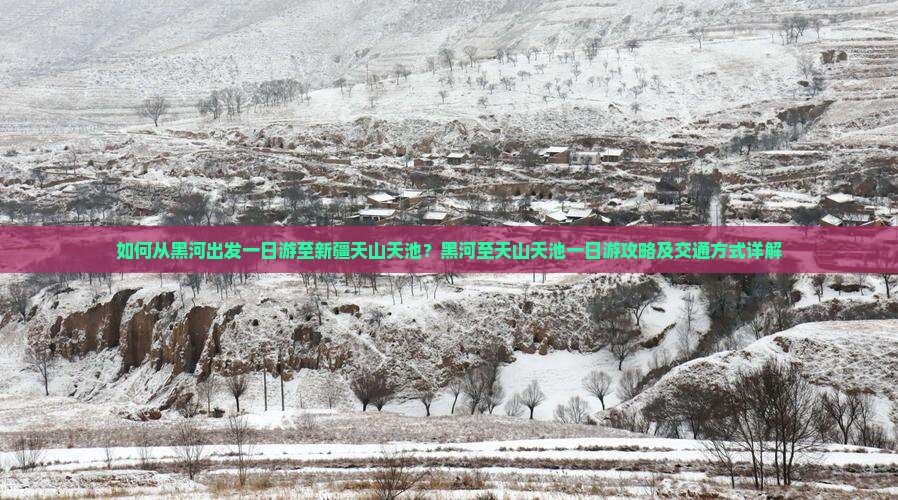 如何从黑河出发一日游至新疆天山天池？黑河至天山天池一日游攻略及交通方式详解