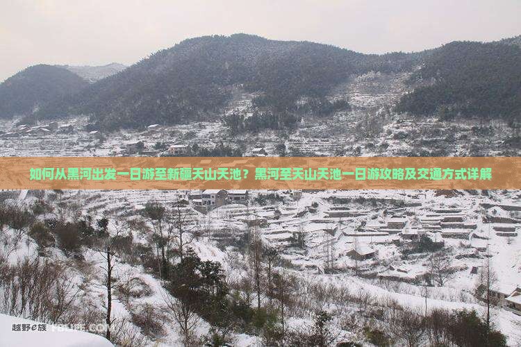 如何从黑河出发一日游至新疆天山天池？黑河至天山天池一日游攻略及交通方式详解