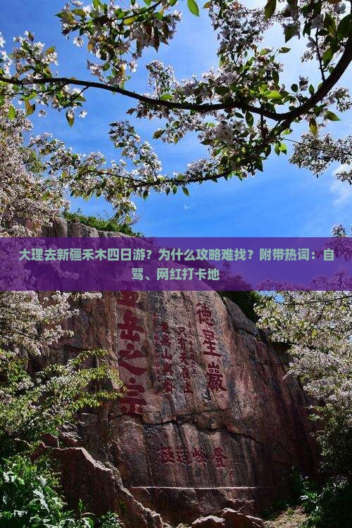 大理去新疆禾木四日游？为什么攻略难找？附带热词：自驾、网红打卡地