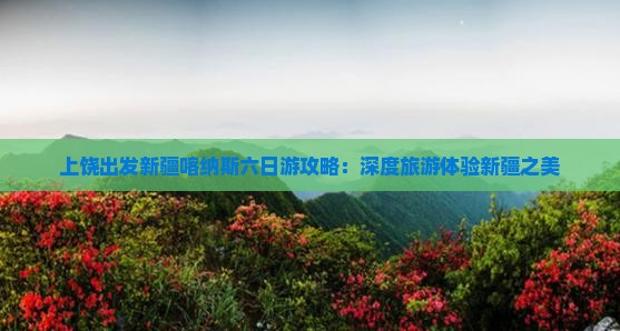 上饶出发新疆喀纳斯六日游攻略：深度旅游体验新疆之美