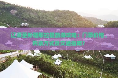 辽源至新疆那拉提旅游攻略：门票价格、购票方式及交通指南？