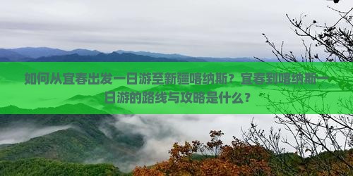 如何从宜春出发一日游至新疆喀纳斯？宜春到喀纳斯一日游的路线与攻略是什么？