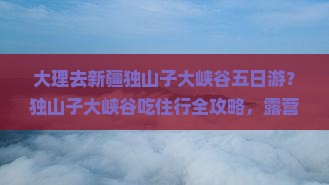 大理去新疆独山子大峡谷五日游？独山子大峡谷吃住行全攻略，露营自驾党看过来！