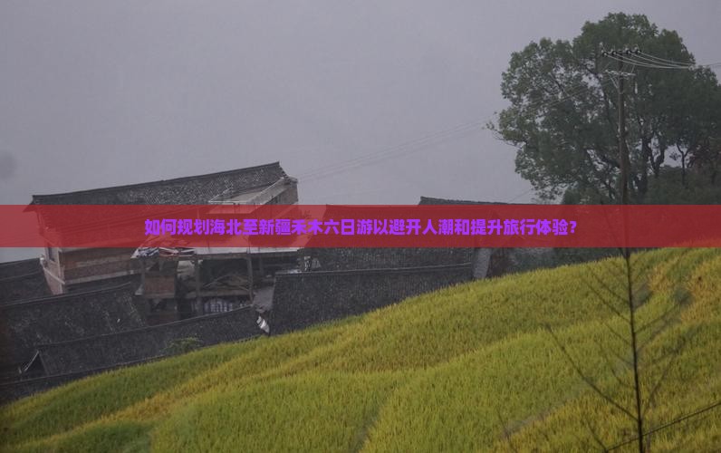如何规划海北至新疆禾木六日游以避开人潮和提升旅行体验？