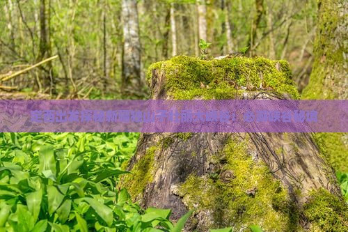 定西出发探秘新疆独山子壮丽大峡谷：必游峡谷秘境