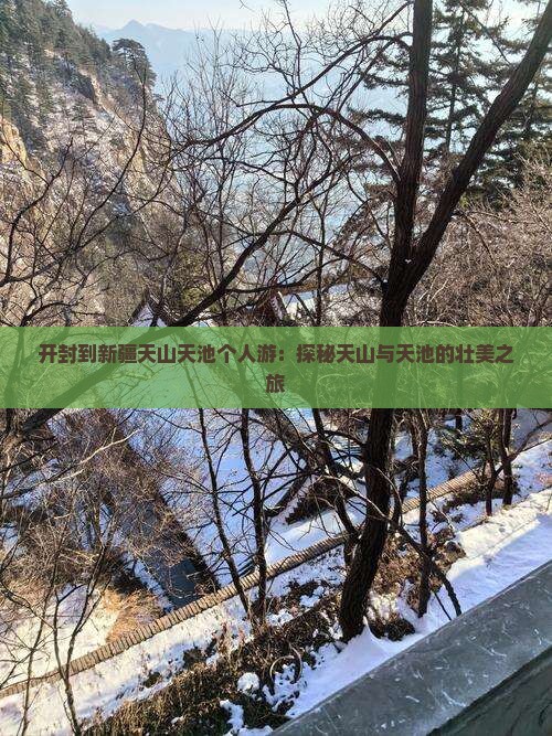 开封到新疆天山天池个人游：探秘天山与天池的壮美之旅