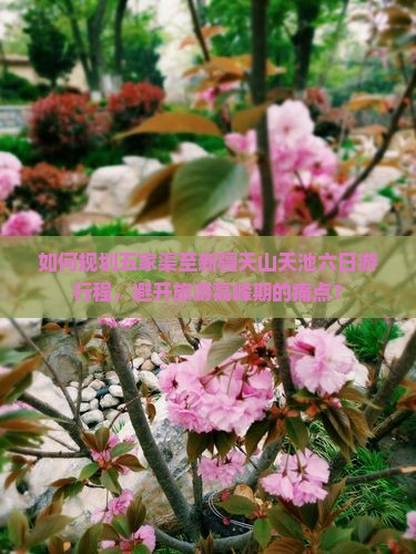 如何规划五家渠至新疆天山天池六日游行程，避开旅游高峰期的痛点？
