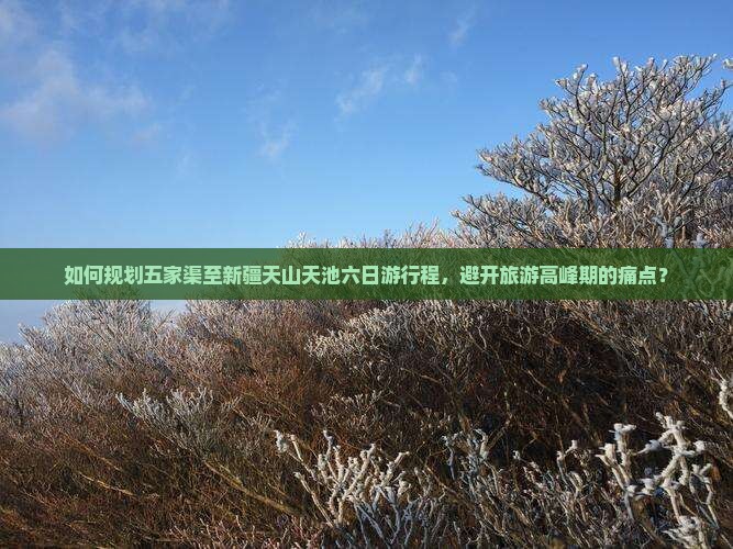 如何规划五家渠至新疆天山天池六日游行程，避开旅游高峰期的痛点？