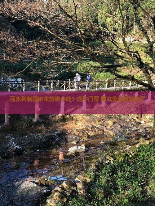 丽水到新疆禾木旅游小吃？途牛门票+网红美食攻略来了！