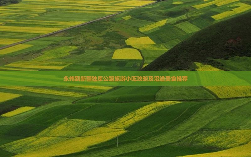 永州到新疆独库公路旅游小吃攻略及沿途美食推荐