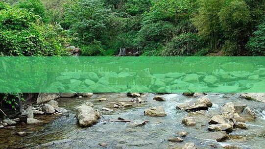 乌鲁木齐出发如何组织新疆天山天池高品质团体旅游，解决哪些痛点问题？