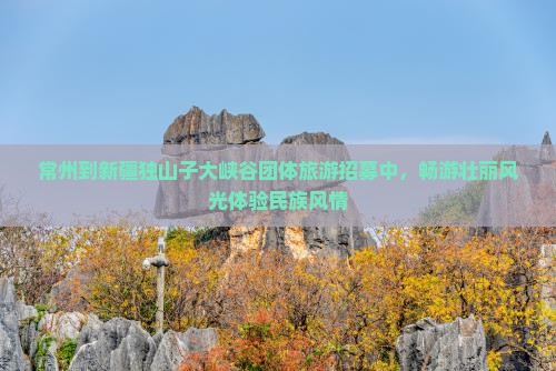 常州到新疆独山子大峡谷团体旅游招募中，畅游壮丽风光体验民族风情
