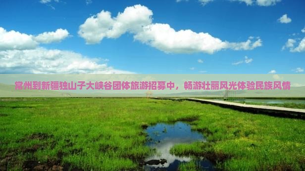 常州到新疆独山子大峡谷团体旅游招募中，畅游壮丽风光体验民族风情