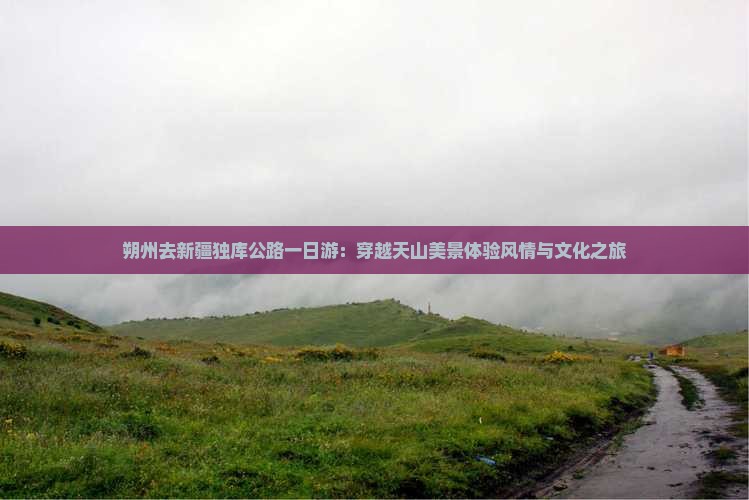 朔州去新疆独库公路一日游：穿越天山美景体验风情与文化之旅