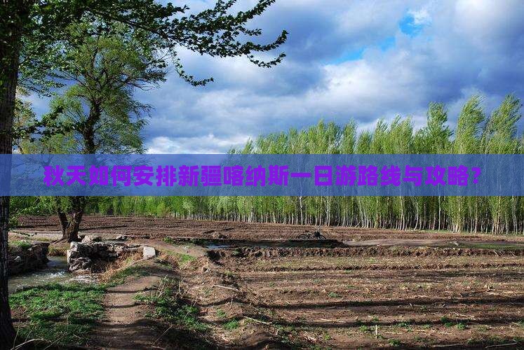 秋天如何安排新疆喀纳斯一日游路线与攻略？