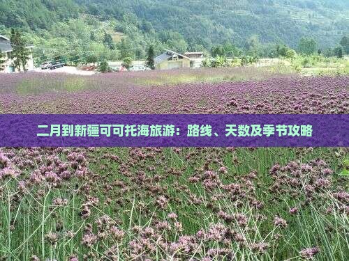 二月到新疆可可托海旅游：路线、天数及季节攻略
