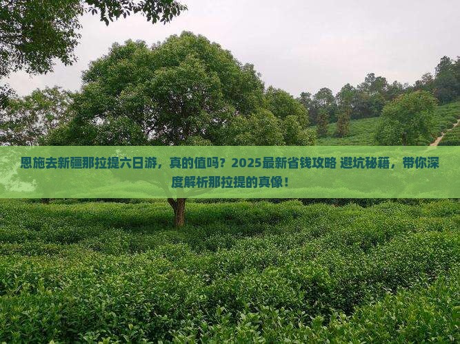 恩施去新疆那拉提六日游