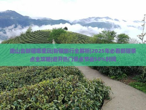 唐山去新疆哪里玩
