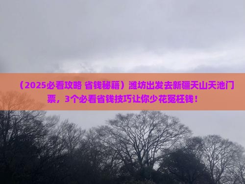潍坊去新疆天山天池门票