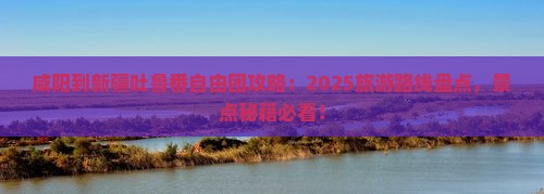 咸阳到新疆吐鲁番自由团