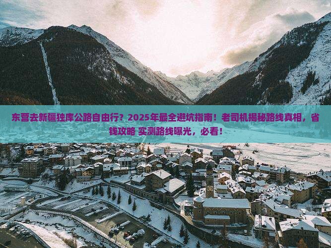 东营去新疆独库公路自由行